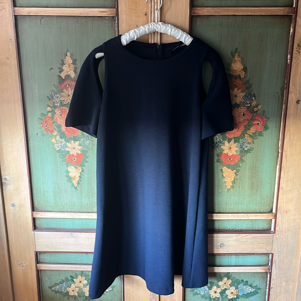 Zara cutout mini dress